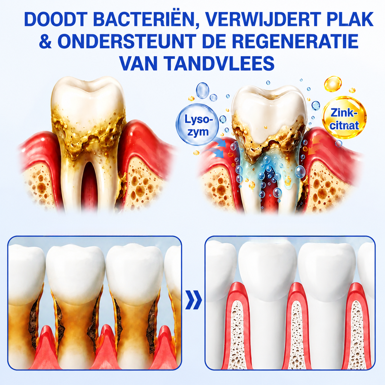 🎁 Bespaar 50% bij een tweede exemplaar