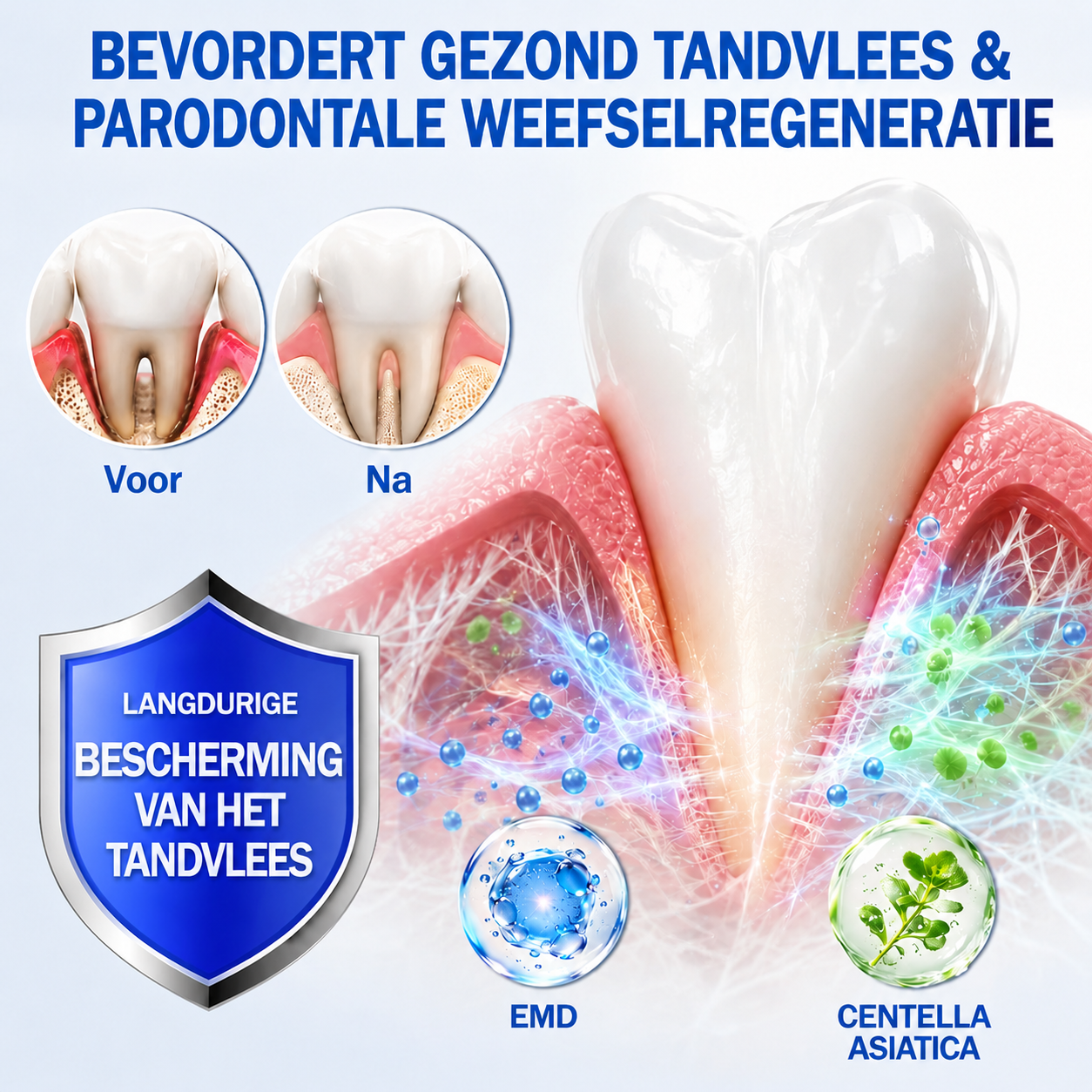 🎁 Bespaar 50% bij een tweede exemplaar